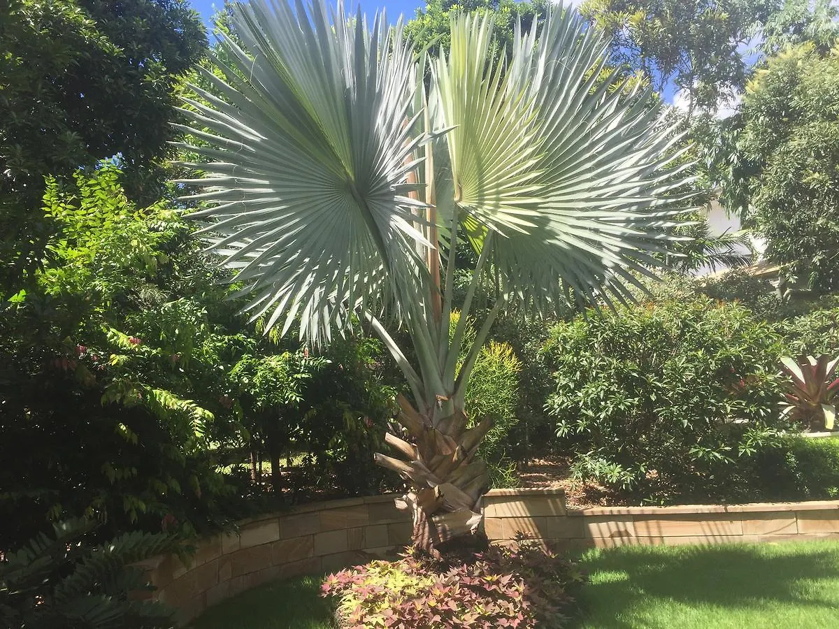 Balmoral Queenslander Brisbane Homestay